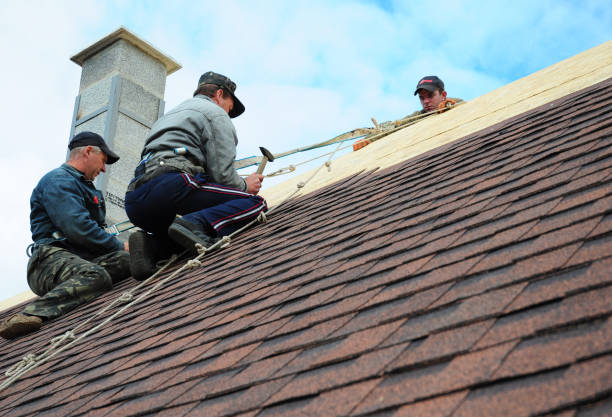 Best Roof Gutter Cleaning  in Roseburg, OR